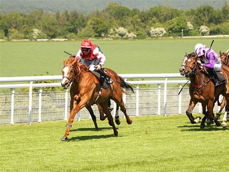 prix chloe|Prix Chloe race results, winners and past history .